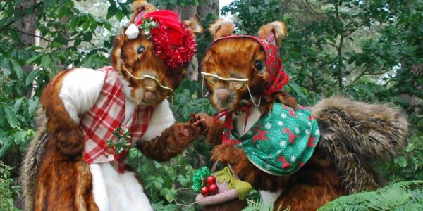 The-Christmas-Acorns-Outdoor-Events