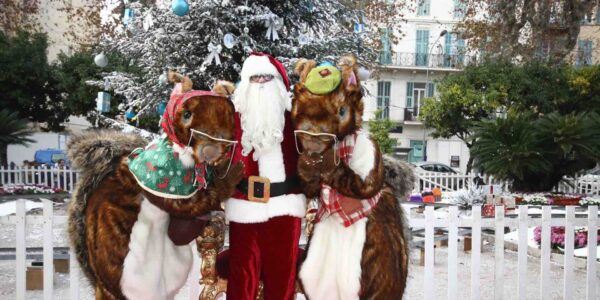 The-Christmas-Acorns-Santa