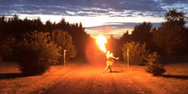 The-Fiery-Fairy-And-Faun