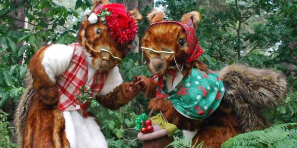 Walkabout-Animals-For-Events