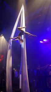 Aerial Silk Performer 2