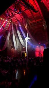 Ethereal Bird Aerialists 5