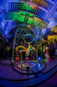 Ethereal Bird Aerialists 4