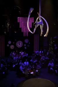 Aerial Silk Performer 1