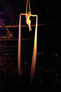 Aerial Silk Performer 3