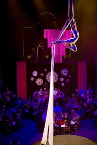 Aerial Silk Performer 5