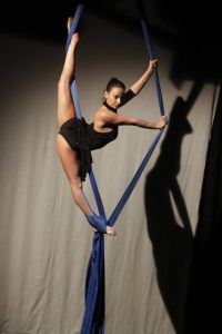 The Diamond Aerial Acrobats 5