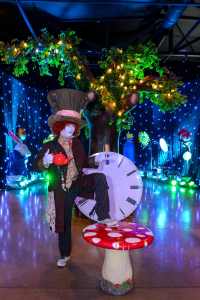 The Eccentric Mad Hatter for hire. Book our Mad Hatter lookalike for Alice in Wonderland-themed events in London & the UK.