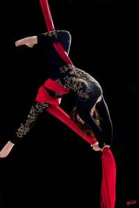 Ethereal Bird Aerialists 2