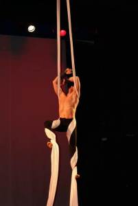 The Diamond Aerial Acrobats 4