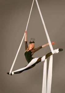 The Elegant Aerialists 3