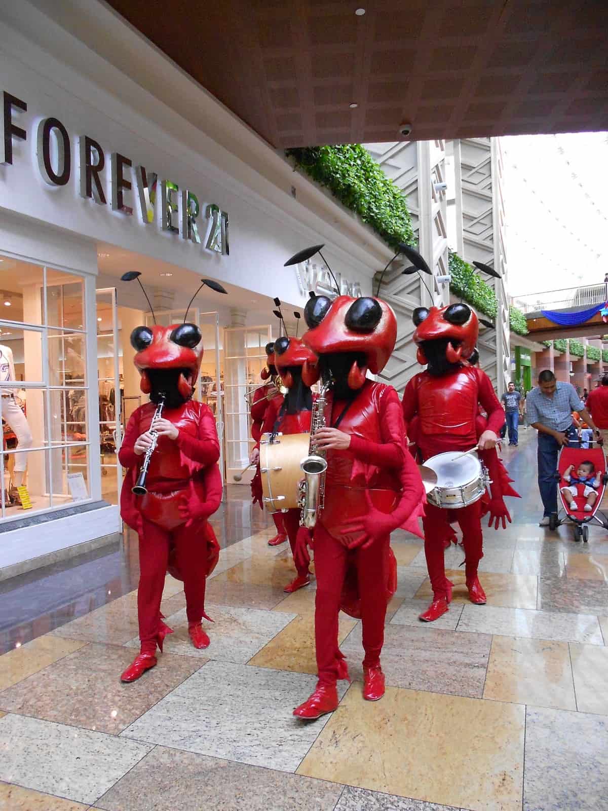 Book our Ant orchestra for your next event. Our Ant orchestra can be hired for events in the UK.