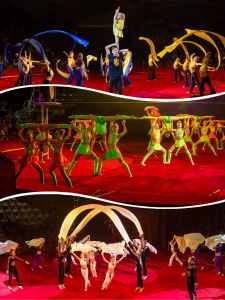 Talented dancers for events