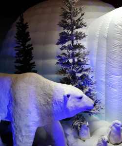 Arctic Photo Booth 4