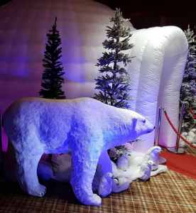 Arctic Photo Booth 2