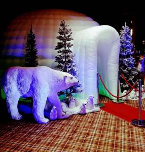 Arctic Photo Booth 1