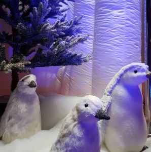 Arctic Photo Booth 3