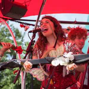 Rustic band for hire. Ou rustic band can be hired in the UK.