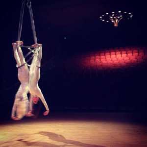 The Elegant Aerialists 4