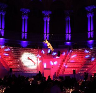 Aerial Violin Acrobat 3