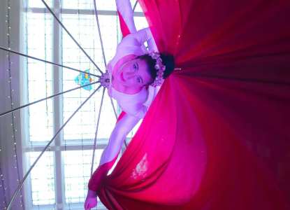 Ethereal Bird Aerialists 1