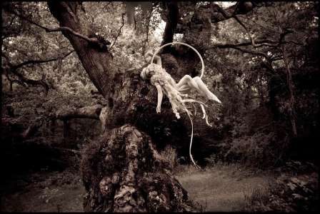 The Elegant Aerialists 1