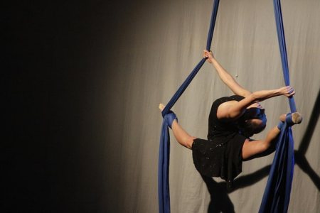 The Diamond Aerial Acrobats 1