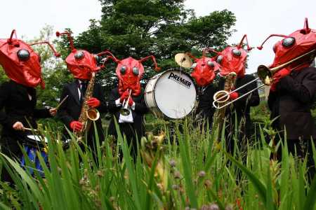 The Humants Band for hire. Our brass band is available to book for corporate events, Halloween-themed events or family fun days in London & the UK.
