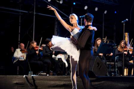 Hire these themed ballet dancers for your next event