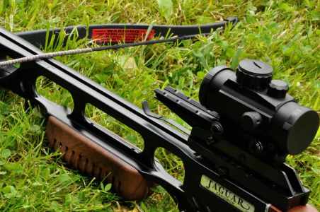 Crossbow Experience 9