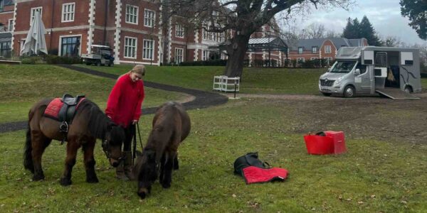 Event-pony-rides-corporate-events