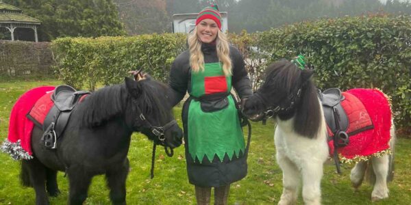 Event-pony-rides-theming