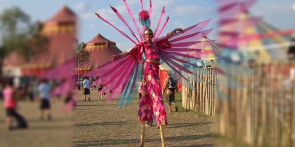 Exotic-Bird-Stilt-Walker