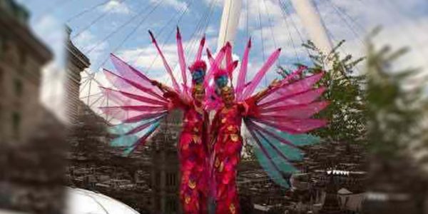 Exotic-Bird-Stilt-Walker-Duo