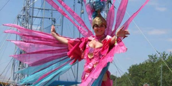 Exotic-Pink-Bird-Stilt-Walker