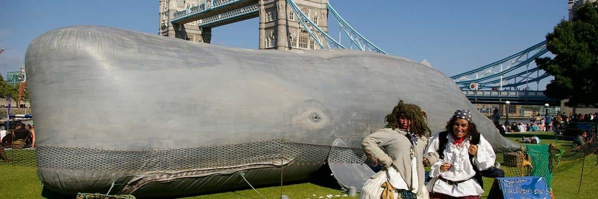 whaleshow-3 (1)