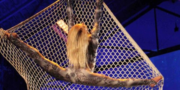 Acrobat-Hangs-From-Net