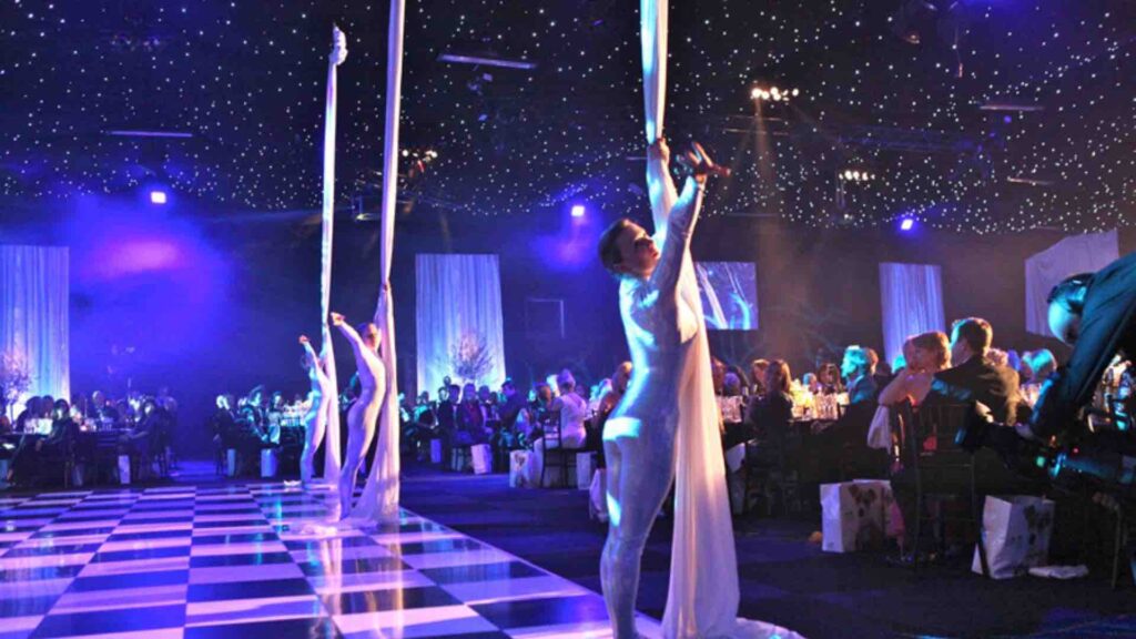 Acrobats for hire perform at Gala Dinner Event