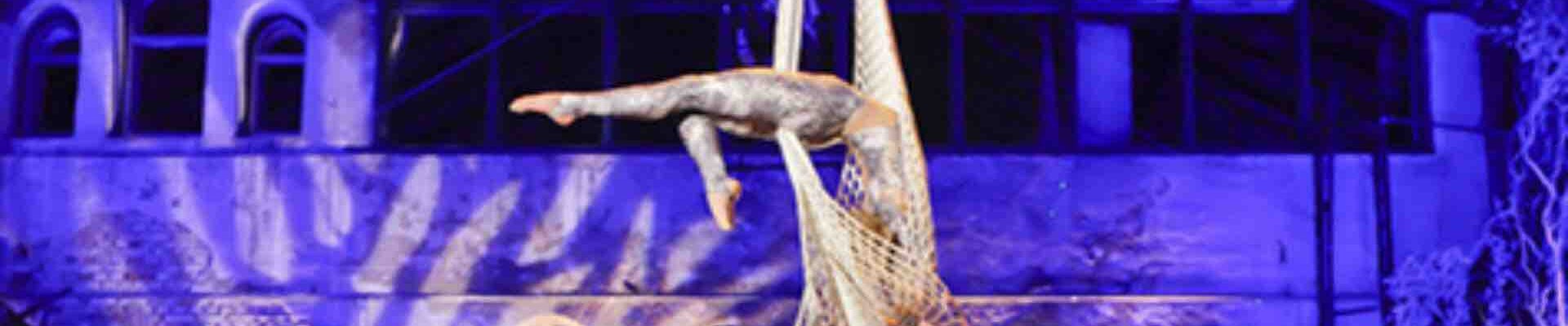 Aerial-Dancer-Performing-On-Net Aerial-Dancer-Performing-On-Net