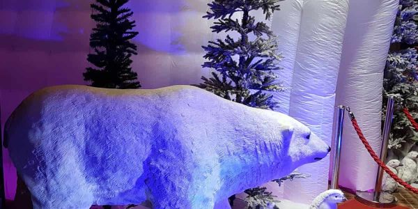 Arctic-Photo-Booth