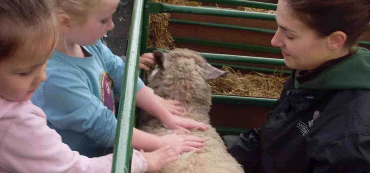 Children-Petting-Sheep