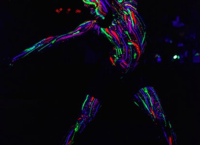 Dynamic-UV-Dancers-Body-Art