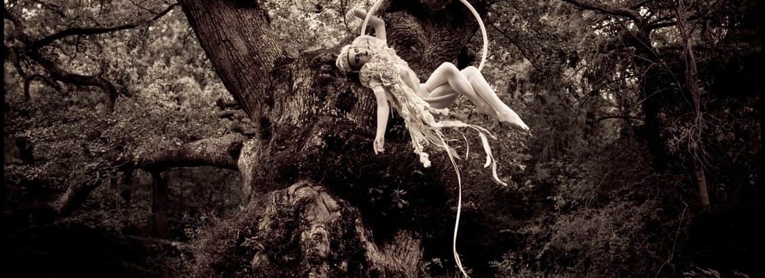 Elegant-Aerialist-Show Elegant-Aerialist-Show