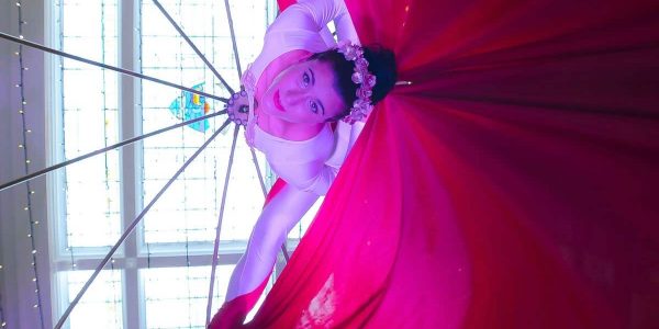 Ethereal-Aerialist-Show