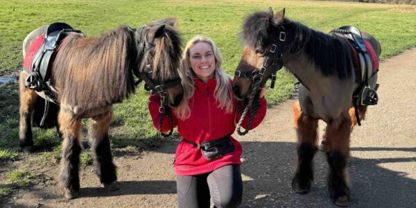 Event-pony-rides-public-events