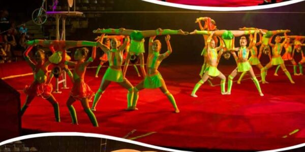 Multi-Disciplined-Dance-Show