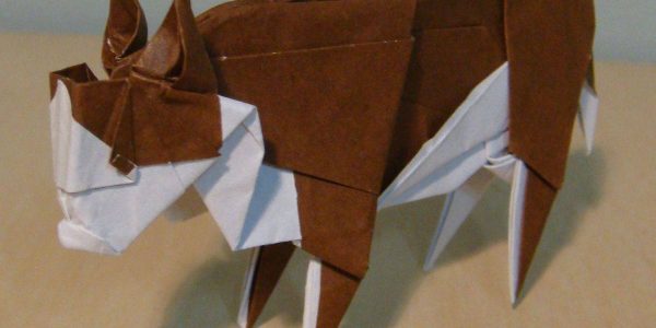 Origami-Artist-Peter