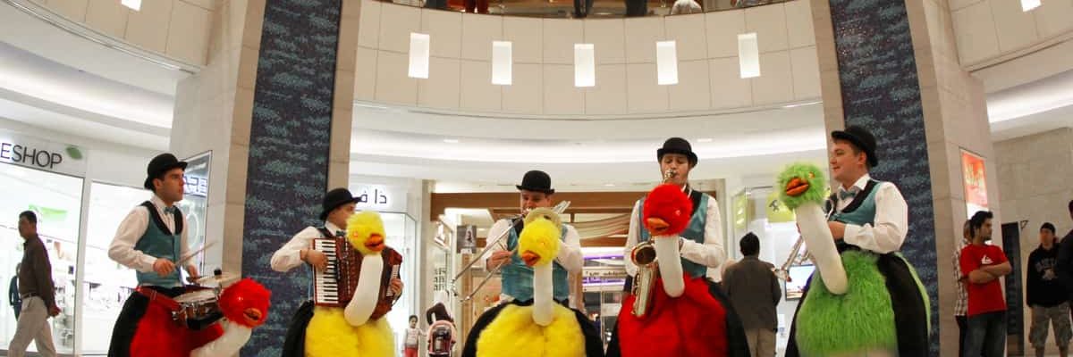 Ostrich-Orchestra Ostrich-Orchestra