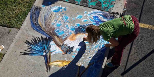 Pavement-Artist-For-Hire