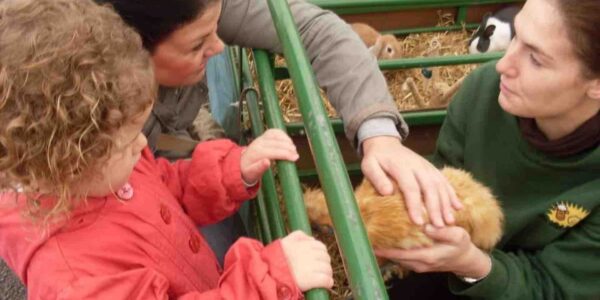 Petting-Zoo-Experience